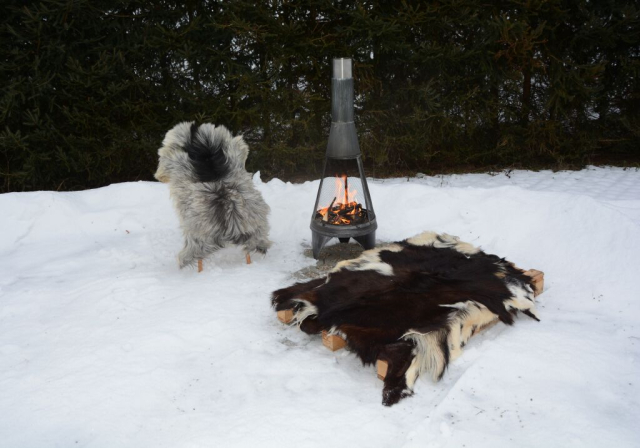 Heidschnucke Schaffell Langhaar (öko)